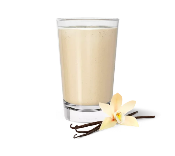 Protein Drink Mix Vegan-560 g